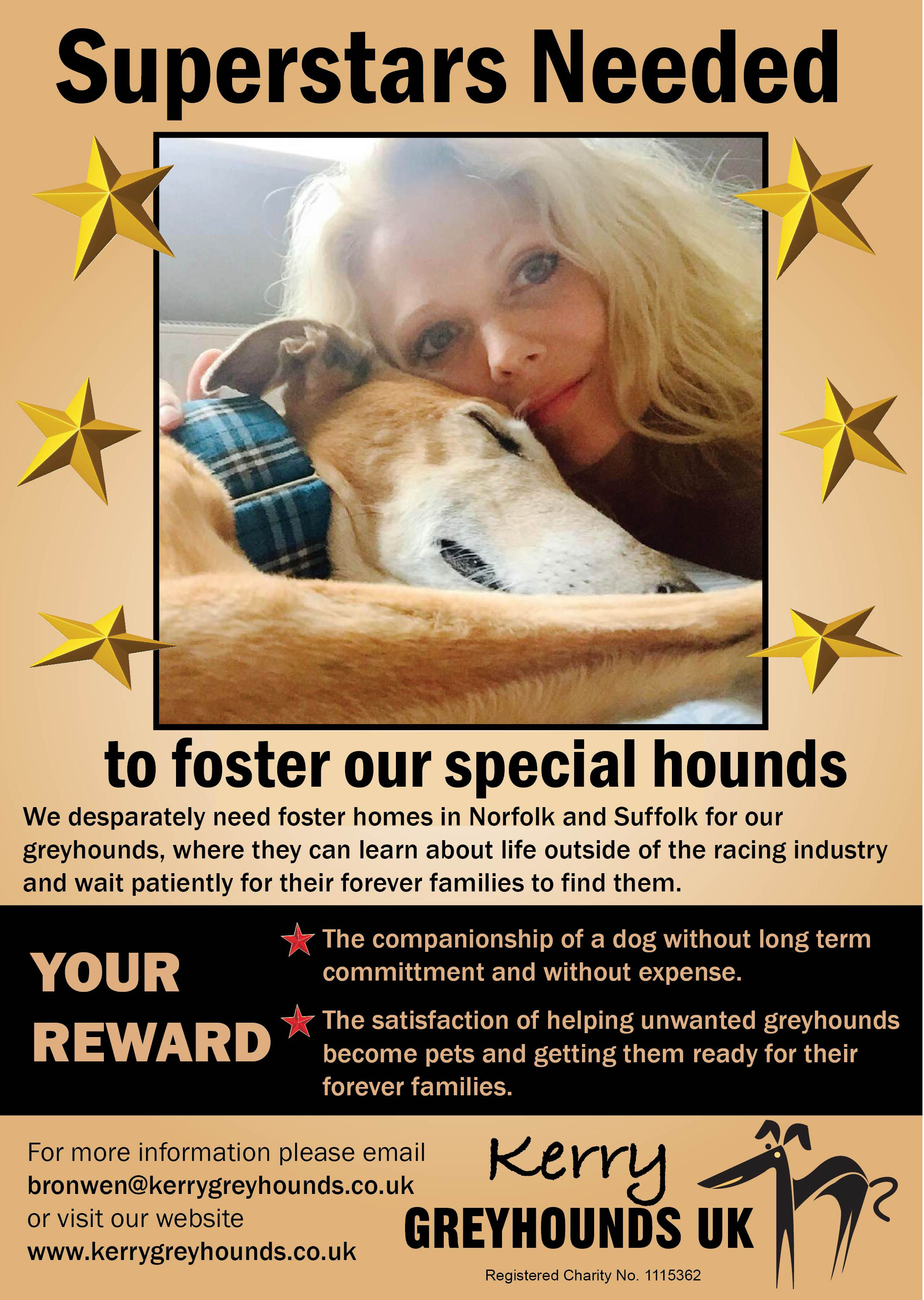 Foster Poster 2016 A